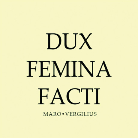 Magnet/Dux femina facti